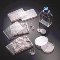 Corning 354428 Collagen IV Cellware Multiwell and Assay Plate, 6 Well