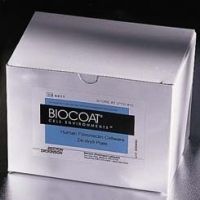 Corning 354559 Fibronectin Cellware Culture Slide, 4 Wells