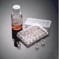 354481 - Corning BioCoat Matrigel Invasion Chambers, Corning - Corning Matrigel Invasion Chambers - Case of 24