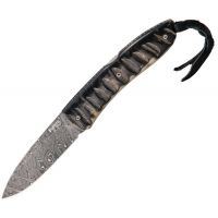 Lionsteel